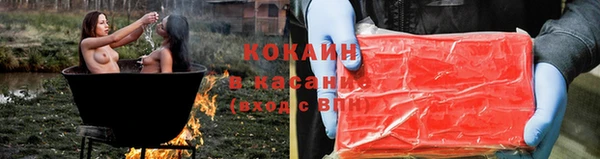 дмт Снежногорск