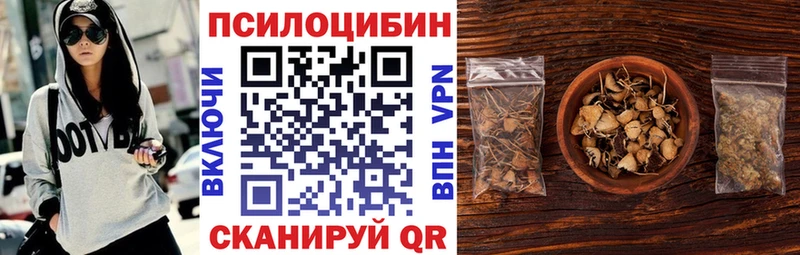 Псилоцибиновые грибы Psilocybe Ипатово