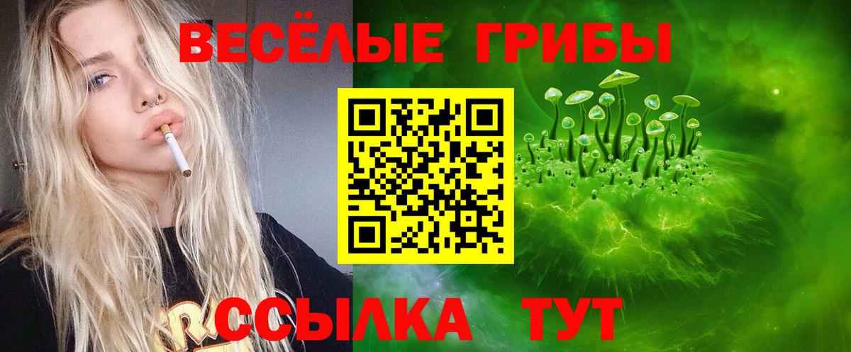 Ипатово  Галлюциногенные грибы Psilocybe  Вход с VPN 